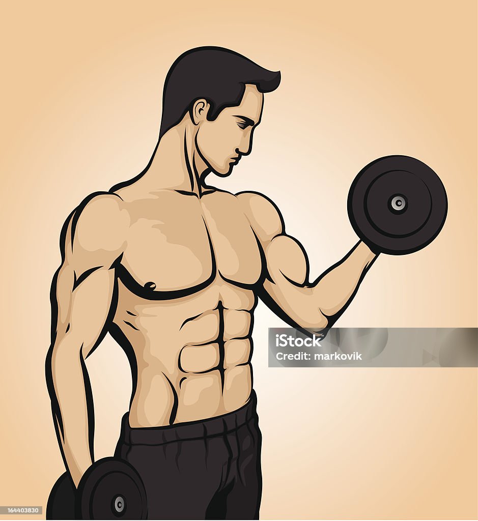 Bodybuilder lifting weights Vector illustration of a bodybuilder lifting weights. Abdominal Muscle stock vector