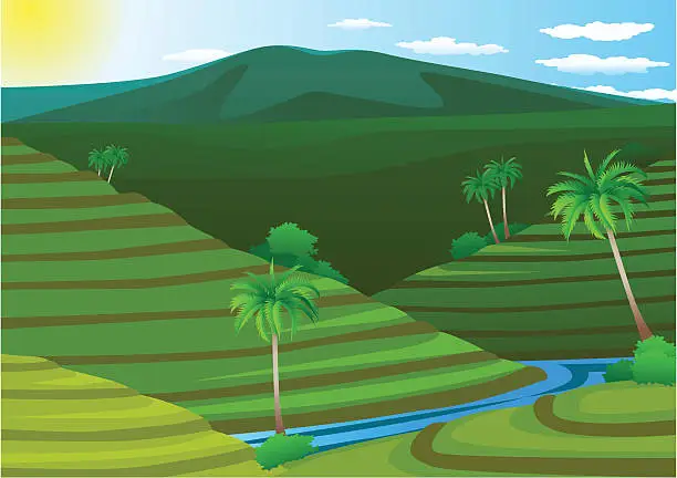 Vector illustration of Terrace Rice field