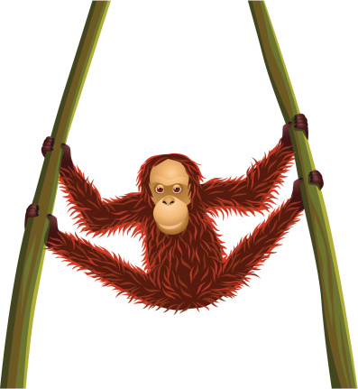 Free download of cute orangutan vector graphics and illustrations Free download of cute orangutan vector graphics and illustrations