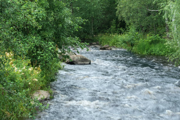 istock fast mountain river between wooded banks 1644046358