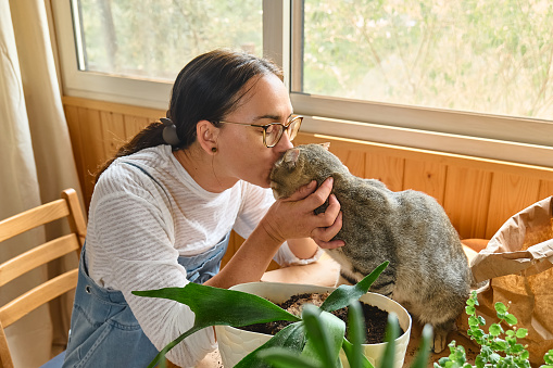 Middle-aged woman hugging and kissing cute tabby cat in indoor scene. Human-animal relationships. Funny home pet. Homeless pets.