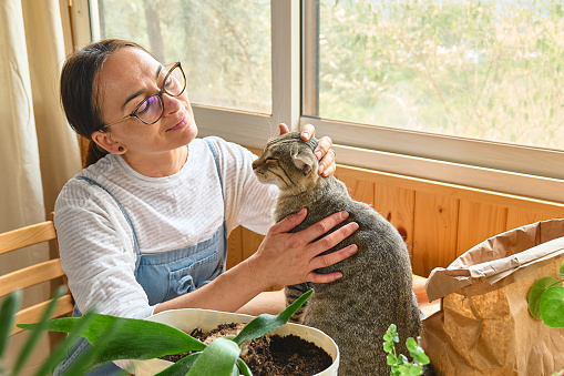 Middle-aged woman hugging and kissing cute tabby cat in indoor scene. Human-animal relationships. Funny home pet. Homeless pets.