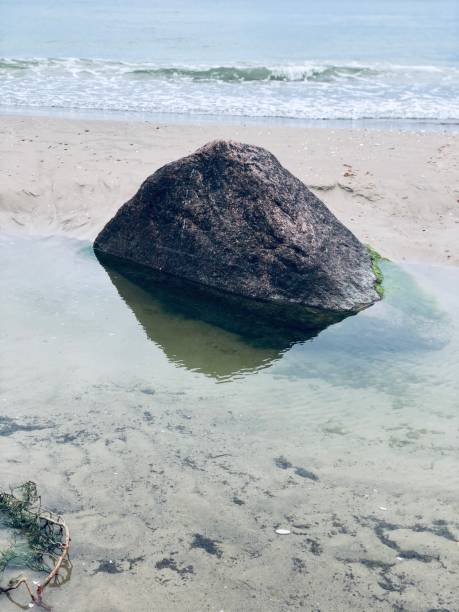 istock Stone at the beach with Water baltic sea 1644078618