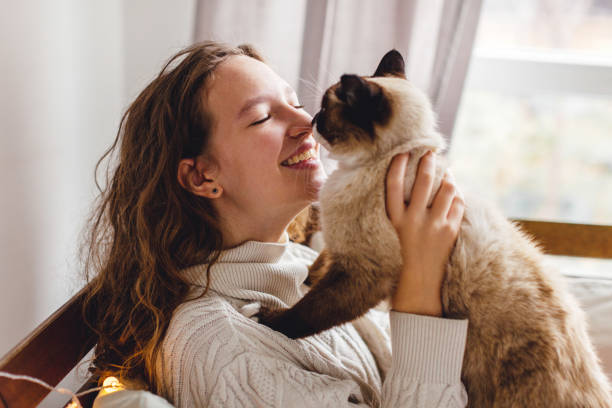 istock Cute cat on owners's hands at home 1644105303