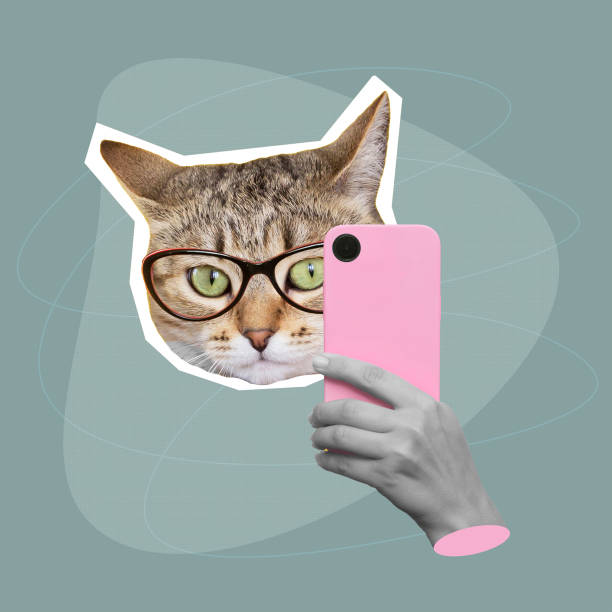 istock Cat head in glasses holding mobile phone with camera taking a picture. Modern creative design 1644106480