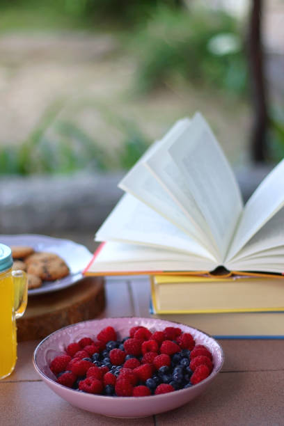 istock Summer Essentials in the Garden 1644108641
