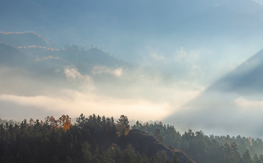 Autumn mountain landscape, forest and fog in the valley