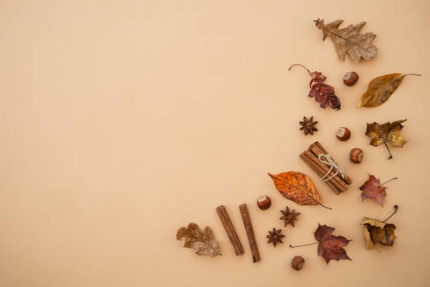 istock Autumn flat lay background on white. 1644119212