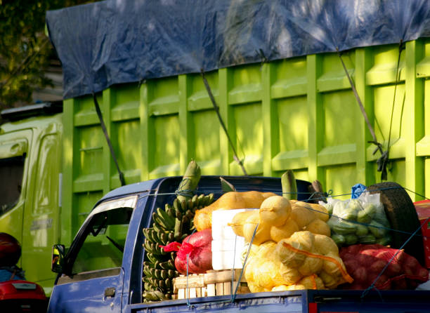 legumes frescos e frutas na caminhonete azul - tomato giant vegetable pick up truck - fotografias e filmes do acervo