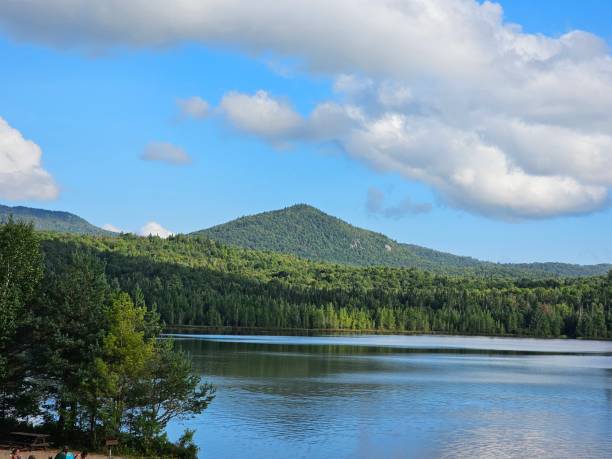 istock Buck Pond Lake Forest New York State Park Landscape 1644147300