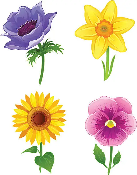 Vector illustration of Beautiful flowers set three