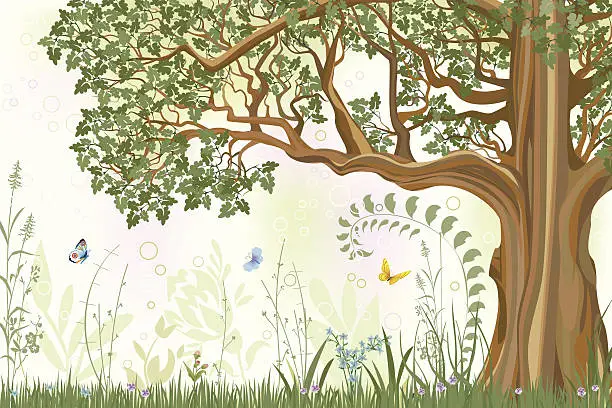 Vector illustration of Oak tree