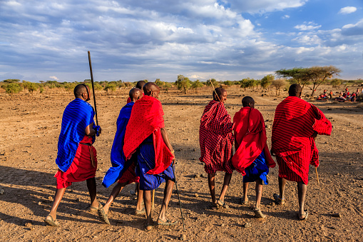 Group of Maasai warriors going back to village, central Kenya, Africa. Maasai tribe inhabiting southern Kenya and northern Tanzania, and they are related to the Samburu.