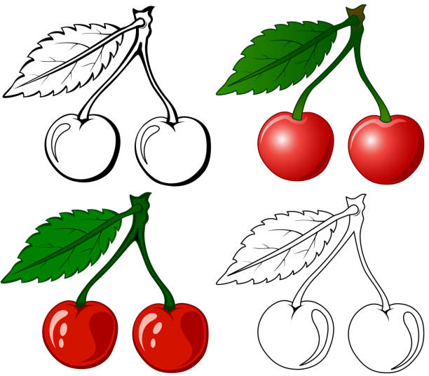 체리 - symmetry fruit food two objects stock illustrations