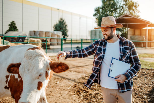 istock Farm owner at his cow farm 1644171025