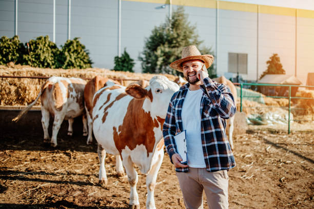 istock Farm owner at his cow farm 1644171570