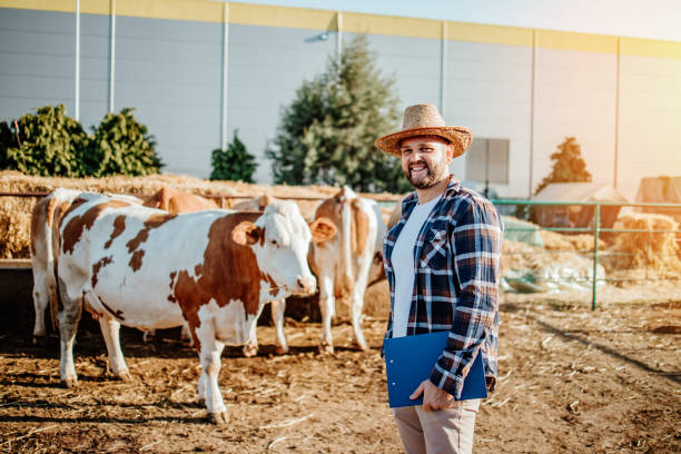 istock Farm owner at his cow farm 1644171583