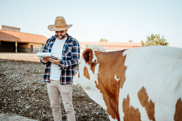 istock Farm owner at his cow farm 1644172116