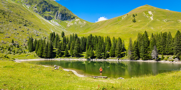 Woman standing on bench enjoying mountain landscape, lake and forest- active, adventure, travel concept ( Switzerland)