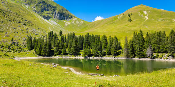 Woman standing on bench enjoying mountain landscape, lake and forest- active, adventure, travel concept ( Switzerland) stock photo