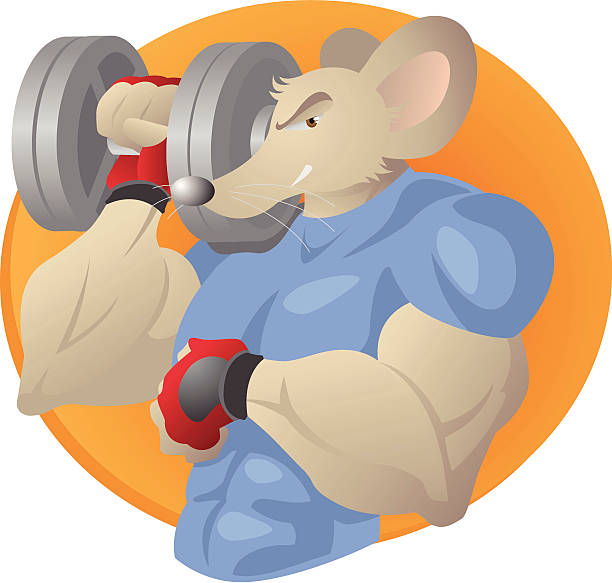 I Am Awesome Stock Illustration - Download Image Now - Gym, Rat