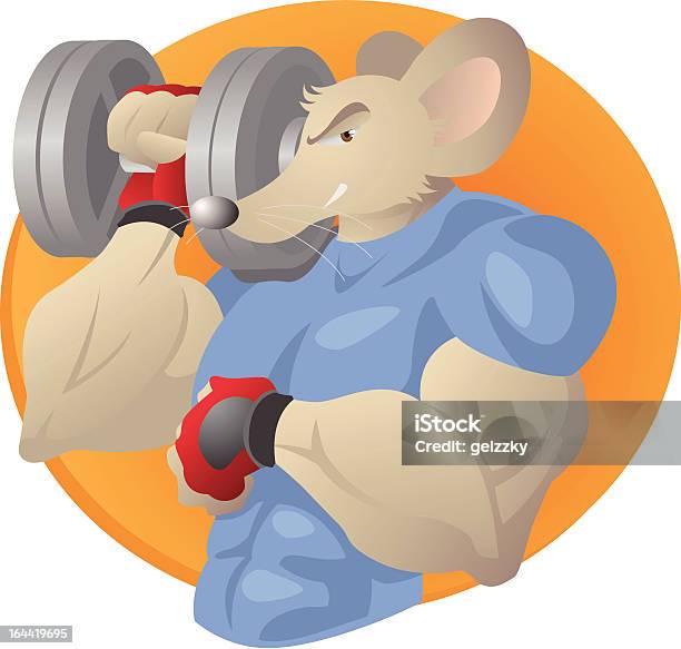 Gymrat Stock Photos and Pictures - 28 Images