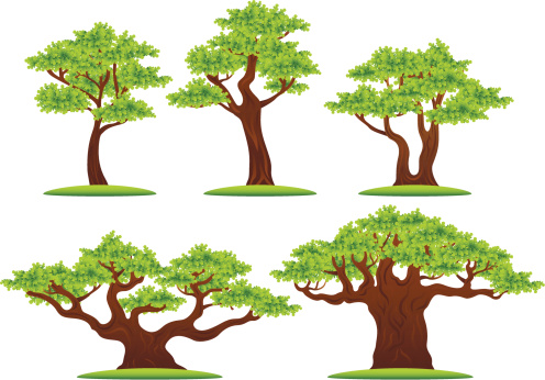 Green oak trees vector illustrations set