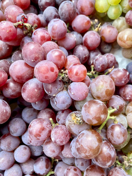 istock Brazilian ruby grape in bunches for sale in the market. 1644200844