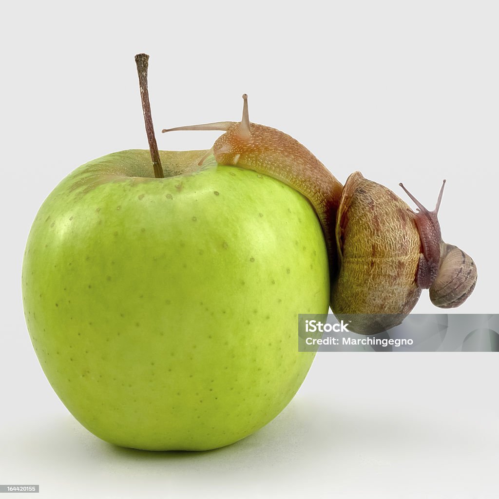 Dos snails en una manzana - Foto de stock de Alimentar libre de derechos