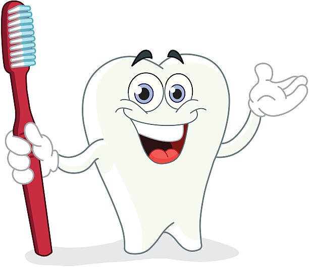 Cartoon tooth with toothbrush Cartoon tooth holding a toothbrush teeth clipart stock illustrations