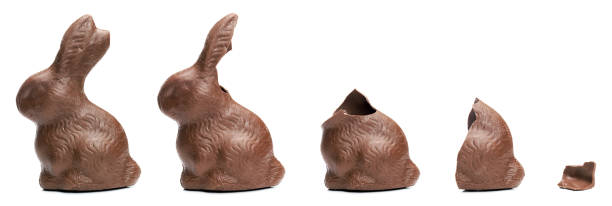Chocolate Easter Bunny eating sequence Chocolate Easter Bunny eating sequence with five consecutive shots showing the whole Easter egg followed by three diminishing partial views to the final small remnant i chocolate bunny stock pictures, royalty-free photos & images