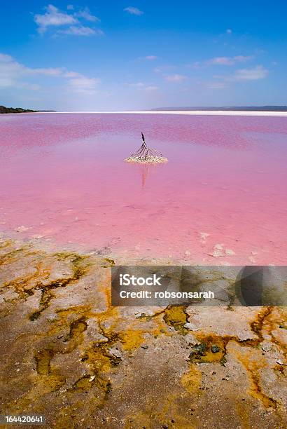Pink Lake Stock Photo - Download Image Now - Lake, Pink Color, Australia