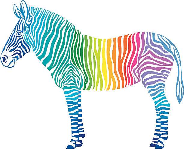 Rainbow Zebra Stock Illustration - Download Image Now - Zebra, Abstract,  Animal - iStock