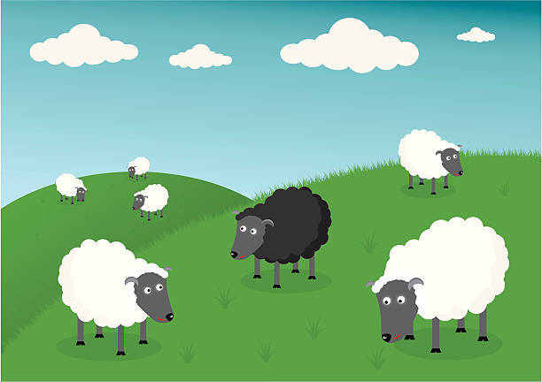 illustrations, cliparts, dessins animés et icônes de mouton noir et blanc - belement