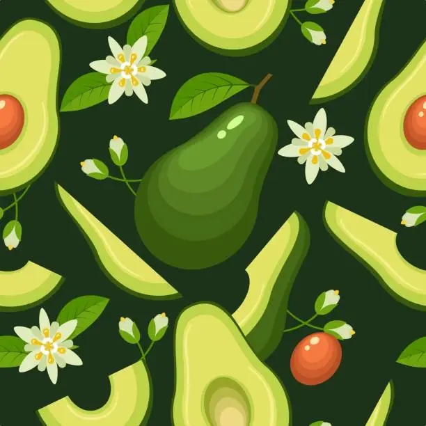 Vector illustration of Avocado seamless pattern