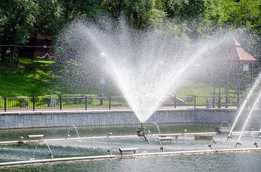 A pond with working fountains, surrounded by a monument of trees and lawn. High quality photo