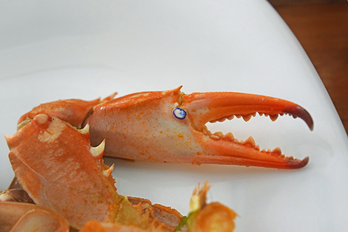 Funny crab claws.