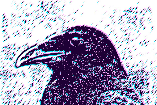 Retro style Raven or Crow head with texture and Glitch Technique
