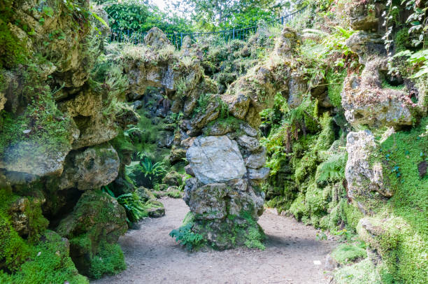 grotta di pietra con muschio, felci e un sentiero. - cave fern flowing forest foto e immagini stock