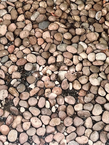 a photography of a pile of rocks and gravel on a ground, lumbermill of rocks and gravel in a garden bed.
