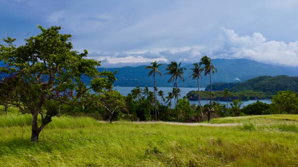 istock Landscape with trees and clouds. View of a tropical island. 1644265814