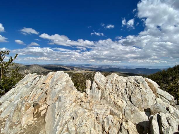 istock sharp cracked & jagged are the white-washed dolomite rocks overlooking the ancient bristlecone pines of the white mountains of california. 1644271311