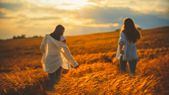 Young female friends walking amidst wheat crops in agricultural field and enjoying vacation together at sunset