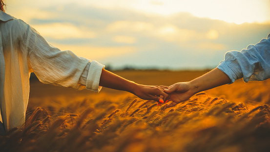 Young female friends holding hands in farm and enjoying golden hour together
