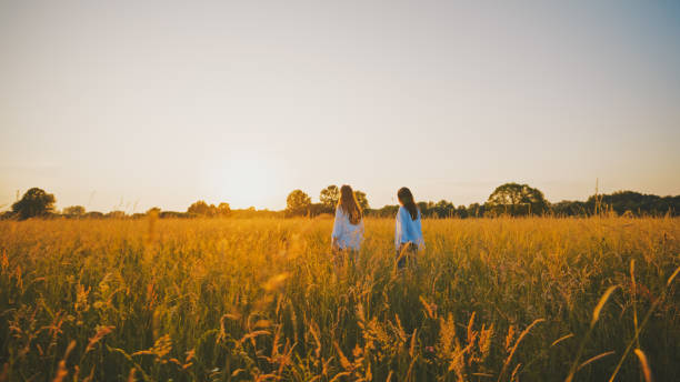 istock Friends walking in wheat field during sunset 1644290438