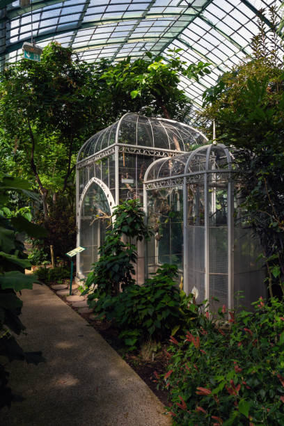 old greenhouse at the jardin des serres d'auteuil - 파리, 프랑스 - aviary 뉴스 사진 이미지