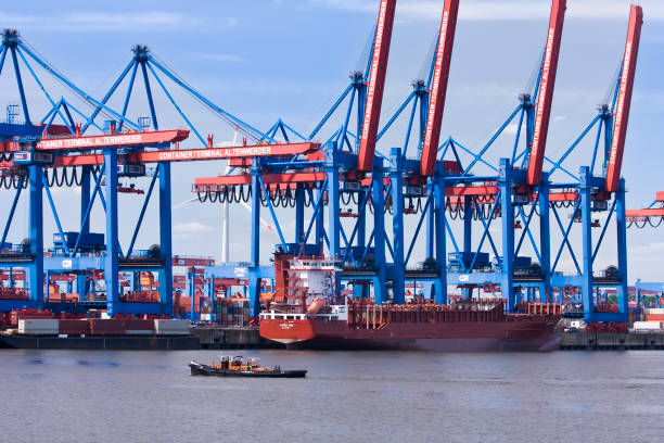 container cranes at the container terminal altenwerder gate hamburg, germany - hafen containerterminal imagens e fotografias de stock