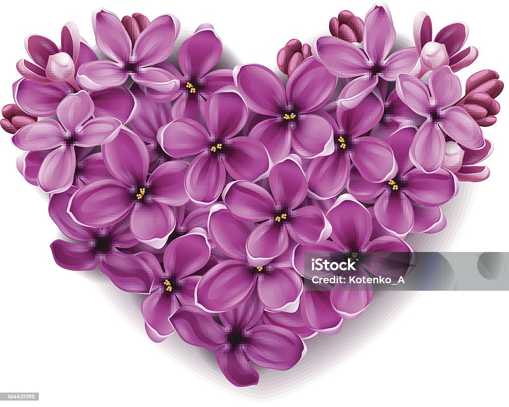 Heart from flowers of a lilac. Flowers of a lilac in the form of a heart. An illustration on a theme of Valentine's day. EPS 10. The petals of flowers and the shadows are transparent objects. Beauty stock vector