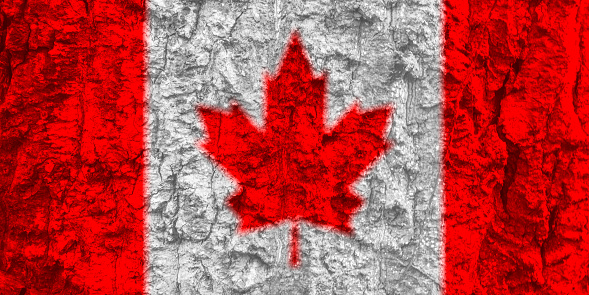 canada flag texture as background