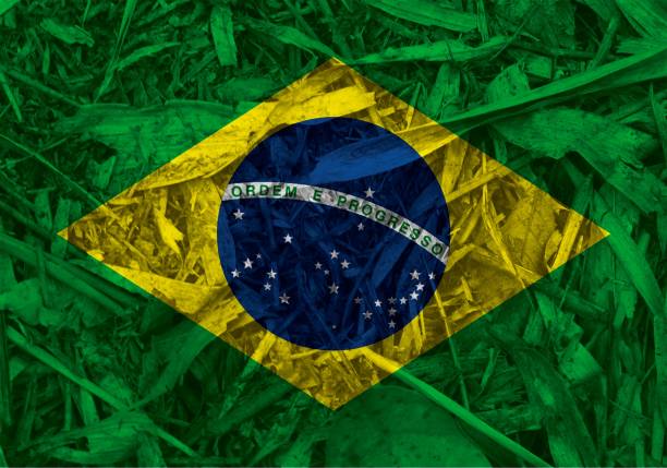 istock Brazilian flag texture as background 1644317348